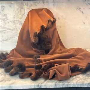 Brown Shawl with Mink Fur Trim